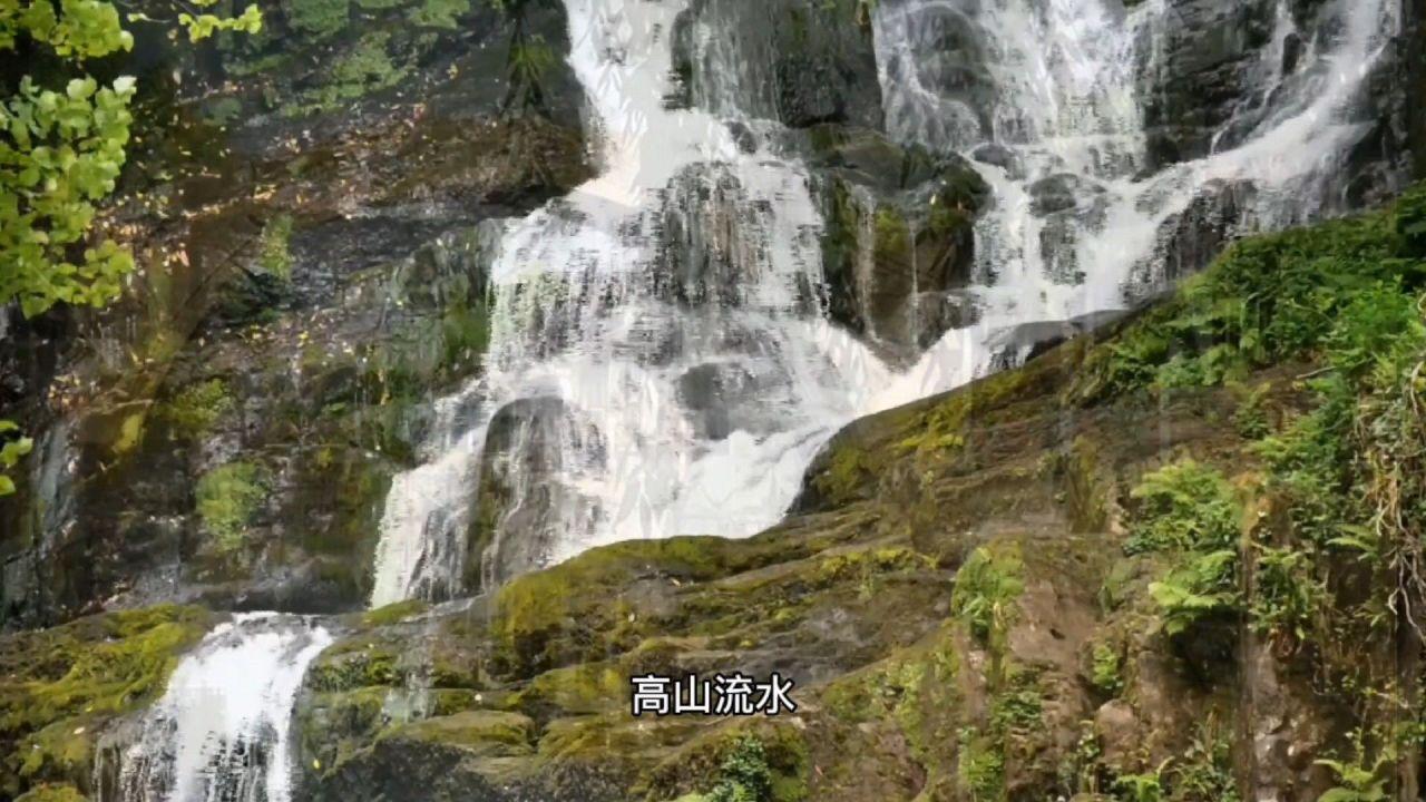 命运骰子